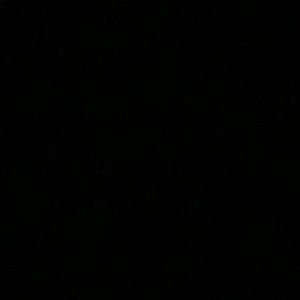 Meet your Posher, George